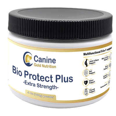 BEST DOG FOODS WITH SENSITIVE STOMACH